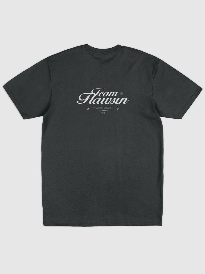 TF Cotton Heritage Men's Premium Heavyweight Tee product image (2)