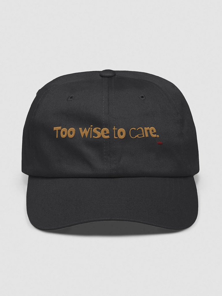 Too Wise to care Cat Wisdom Embroidered Classic Dad Hat product image (3)