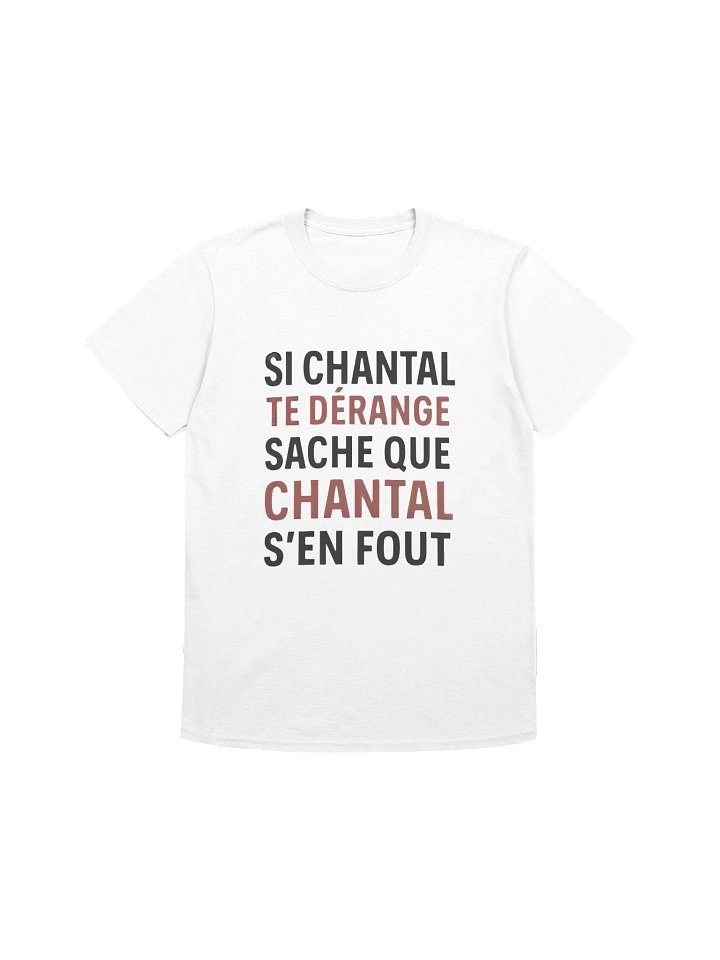 Si Chantal te dérange sache que Chantal s'en fout product image (169)