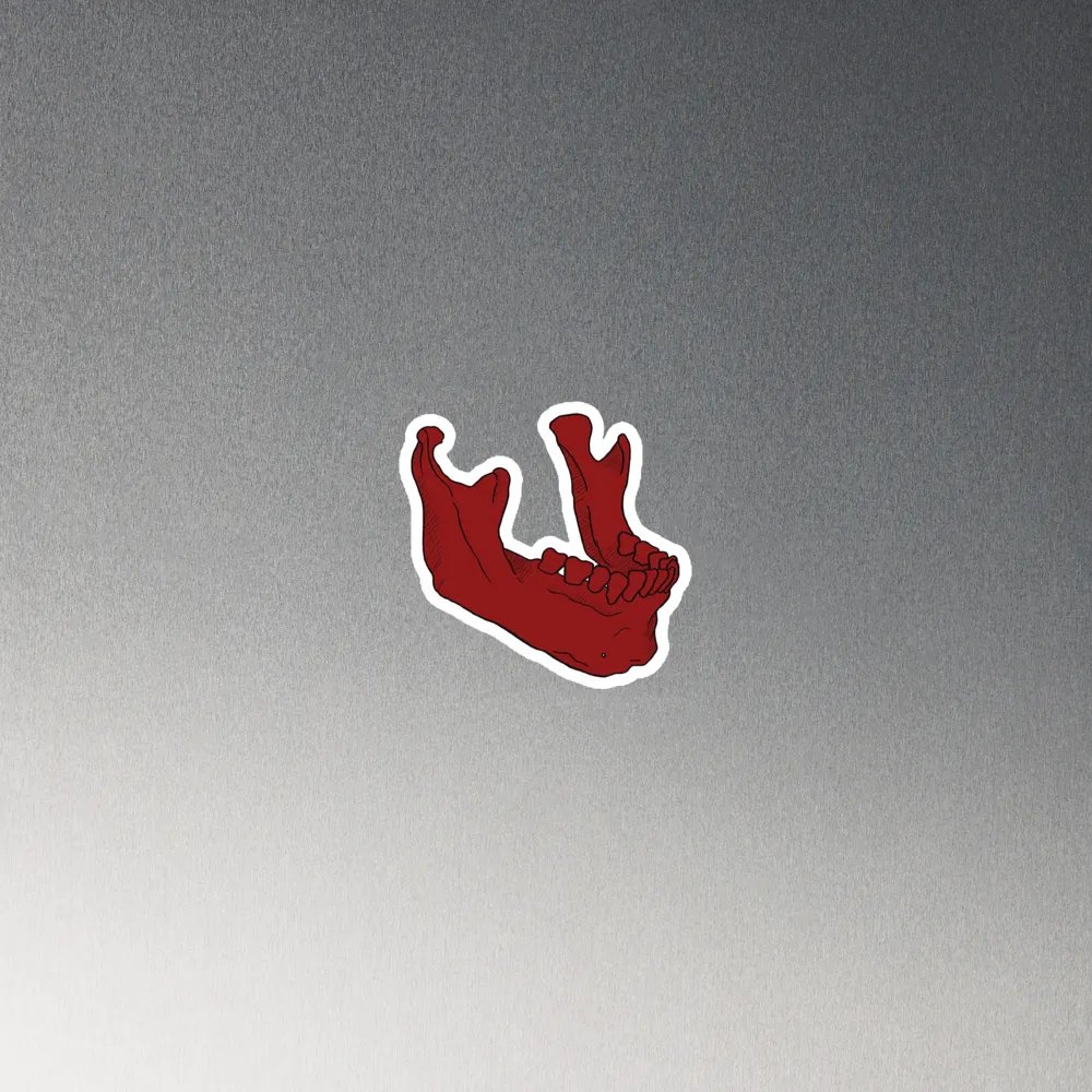 Jaw magnet product image (4)