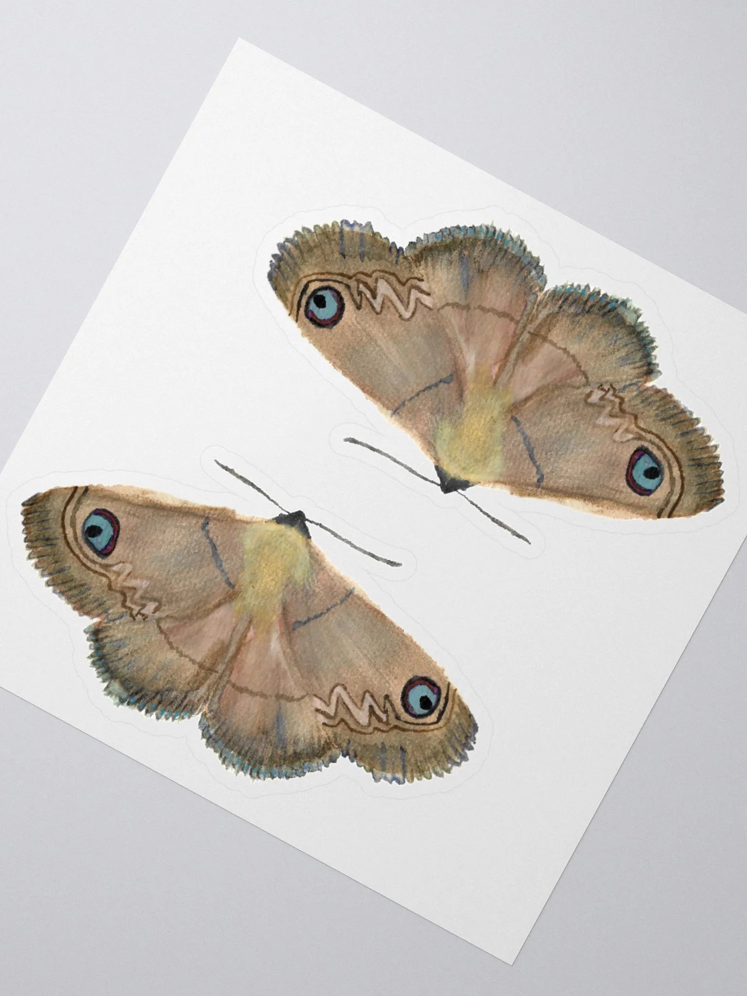 Southern Old Lady Moth Sticker (x2) product image (2)