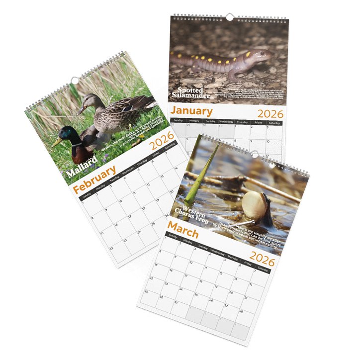 2026 Wall Calendar product image (2)