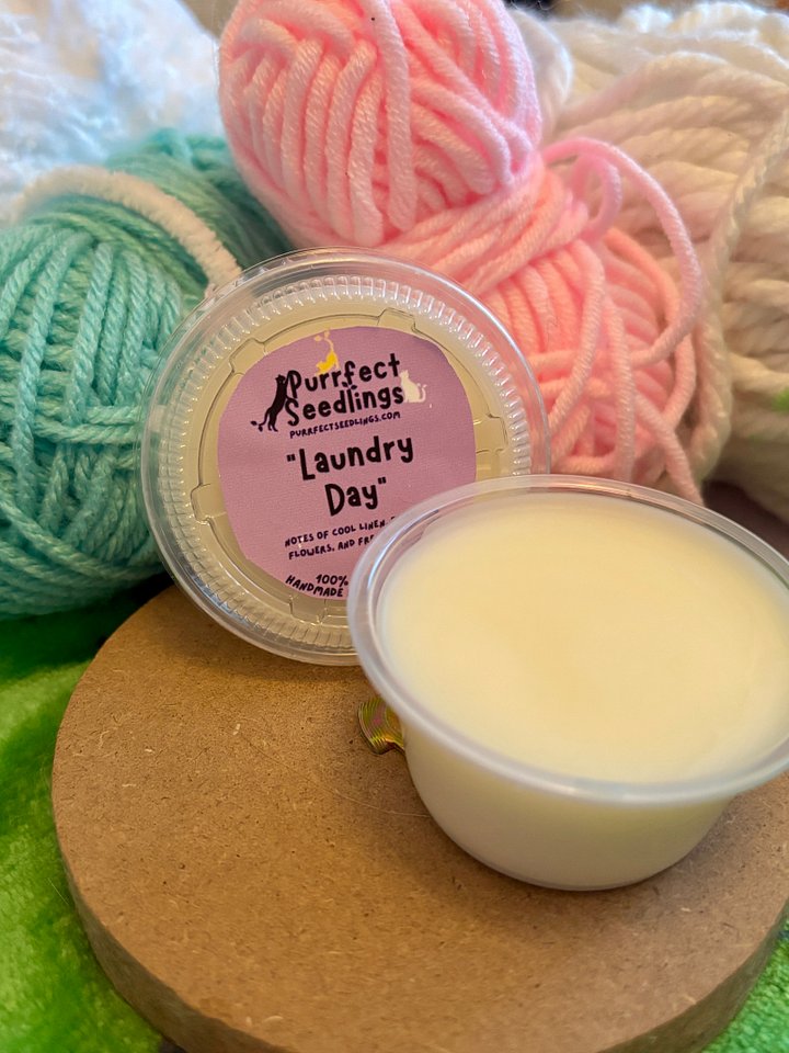 Laundry Day Wax Melt product image (2)