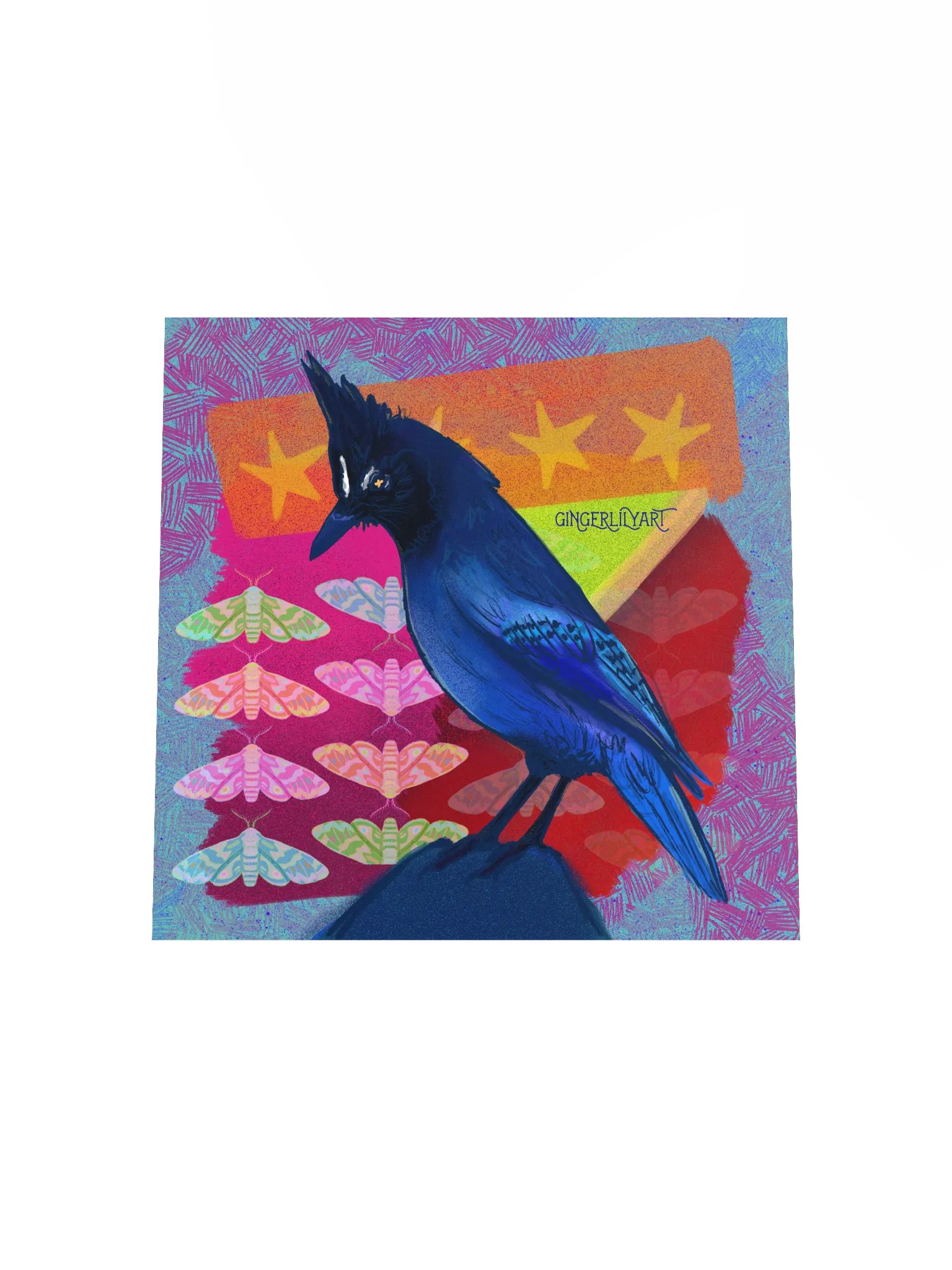 steller's jay print product image (16)