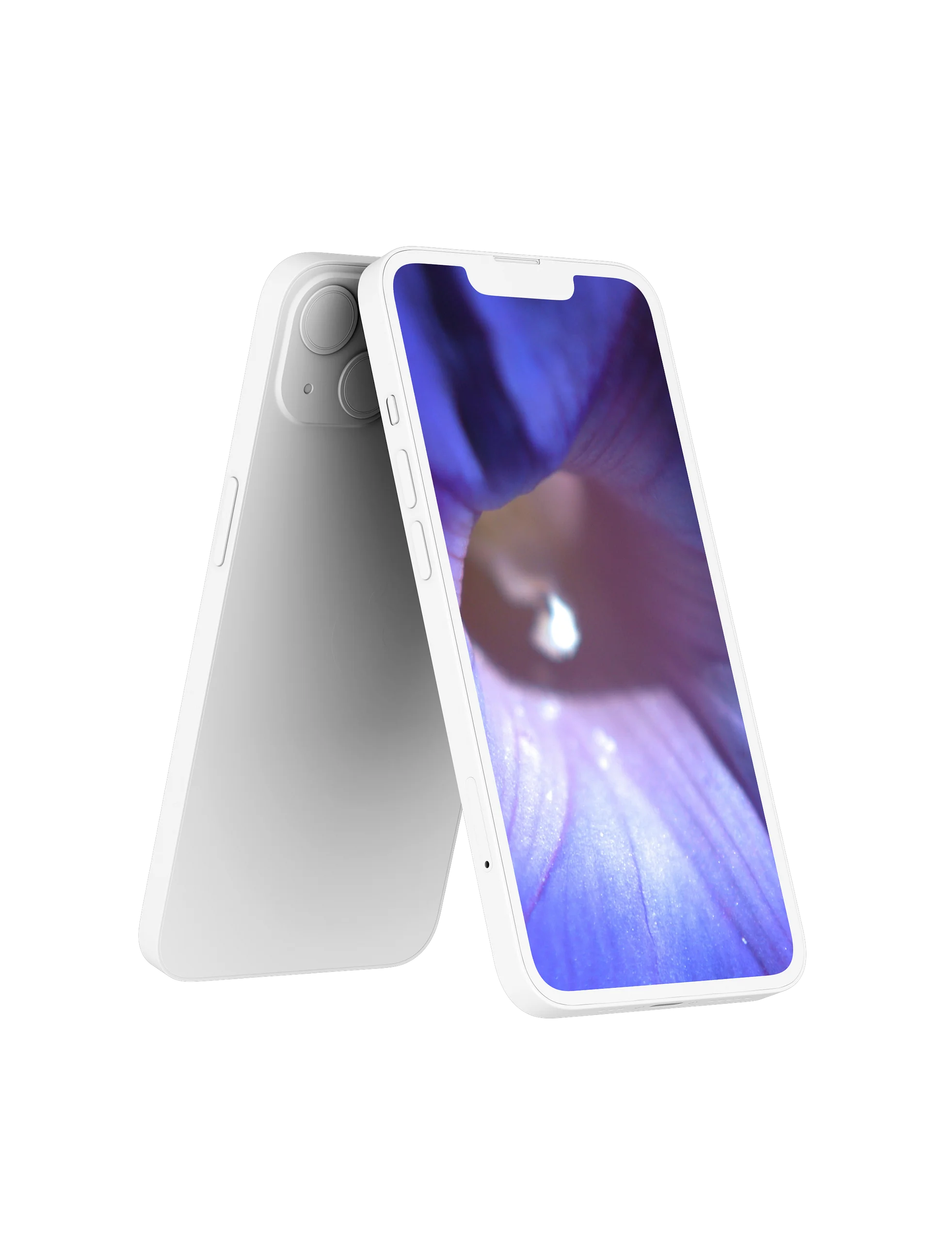 Morning Glory Digital Wallpaper Set product image (2)
