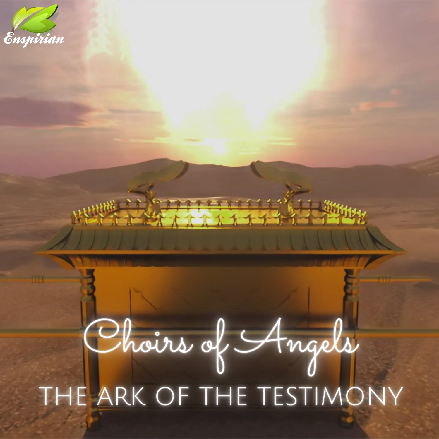 THE ARK OF THE TESTIMONY product image (1)