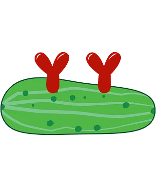 CrunchyyPickle