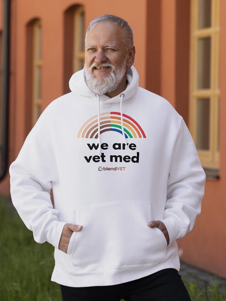 Pride - We Are Vet Med Hoodie product image (1)