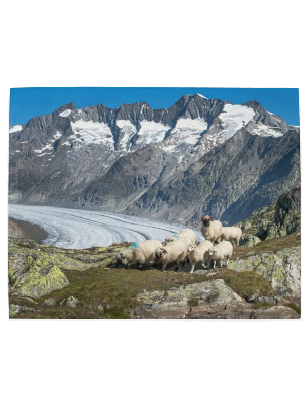 Valais Blacknose sheep and Valais Blackneck goats Table mats product image (5)