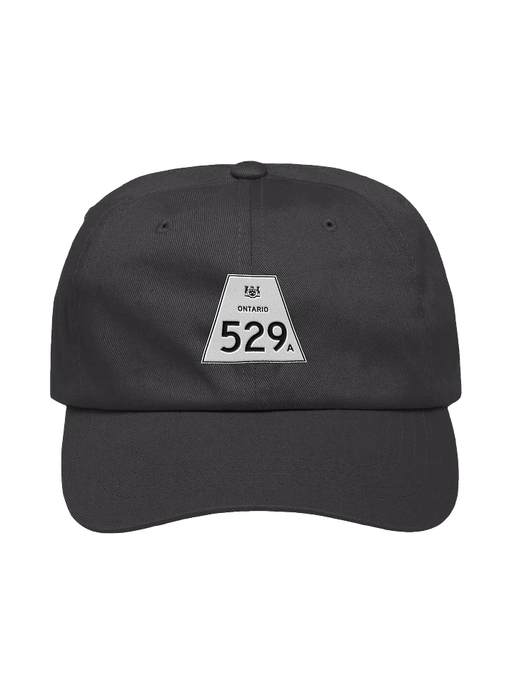 529A Dad Hat product image (17)