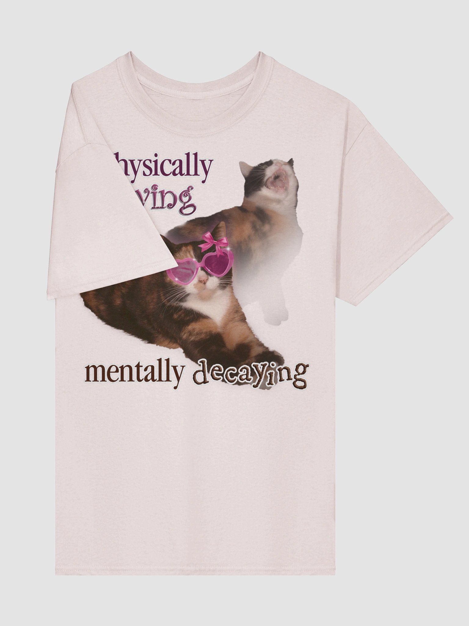 Physically Slaying Mentally Decaying - Cat T-shirt product image (5)