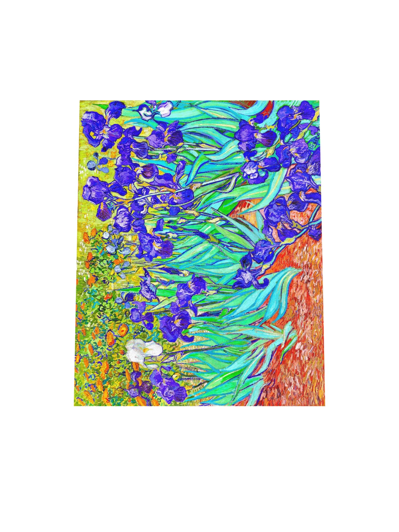 Irises — Medium Poster product image (4)