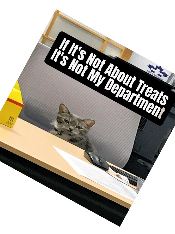 Treat Department Stickers product image (5)