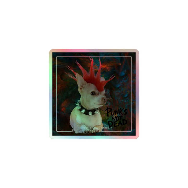 PUNK´S NOT DEAD product image (1)