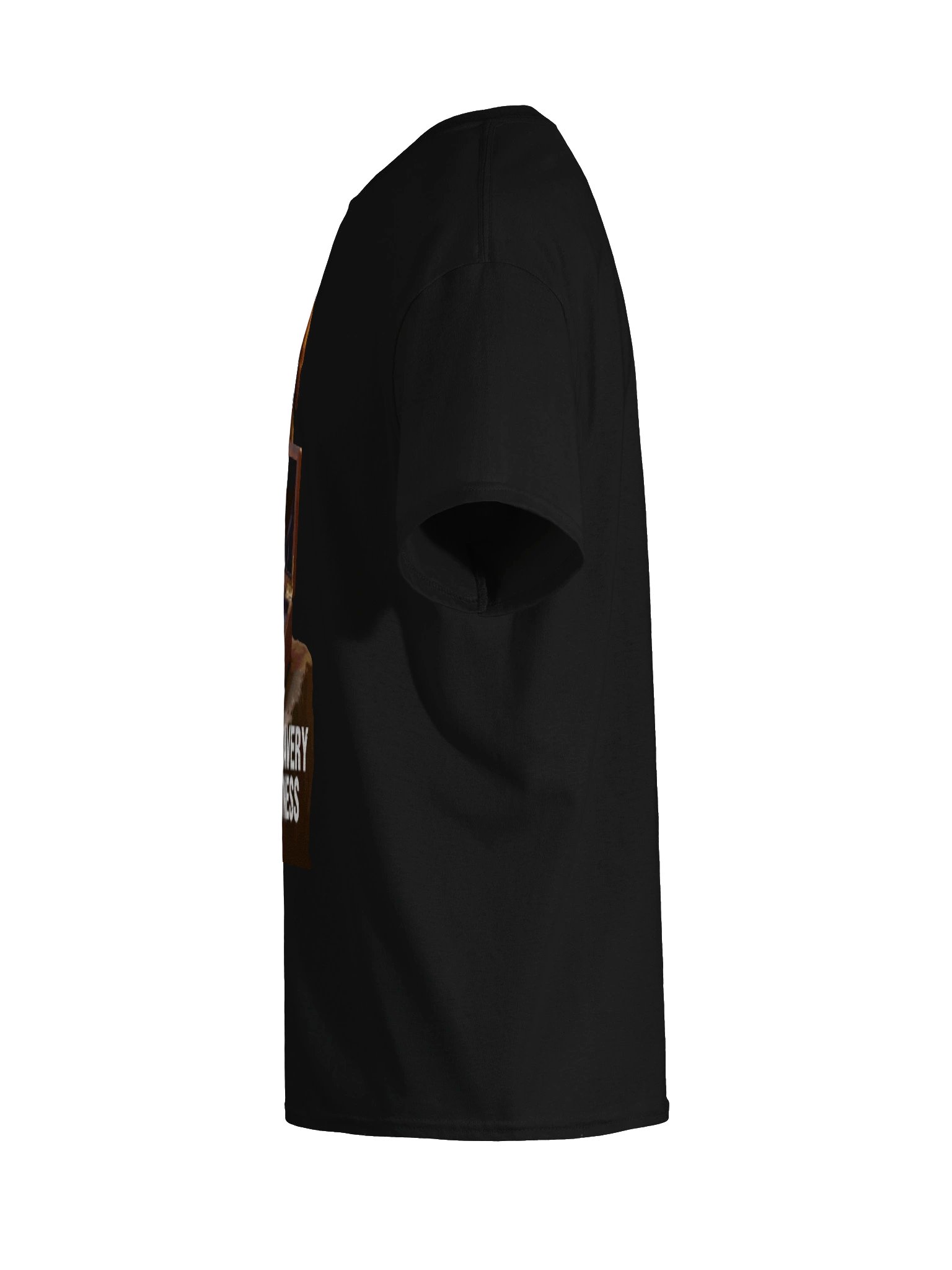 Not All Bravery Has a Witness Eagle Tee product image (9)