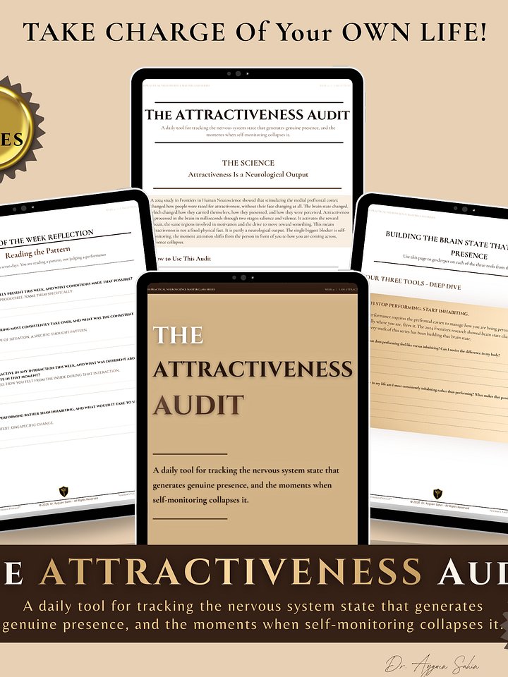The ATTRACTIVENESS Audit product image (1)