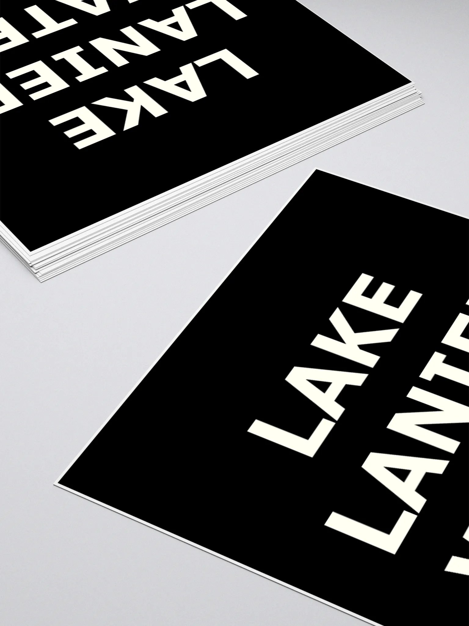 LAKE LANIER WATER STICKER product image (11)
