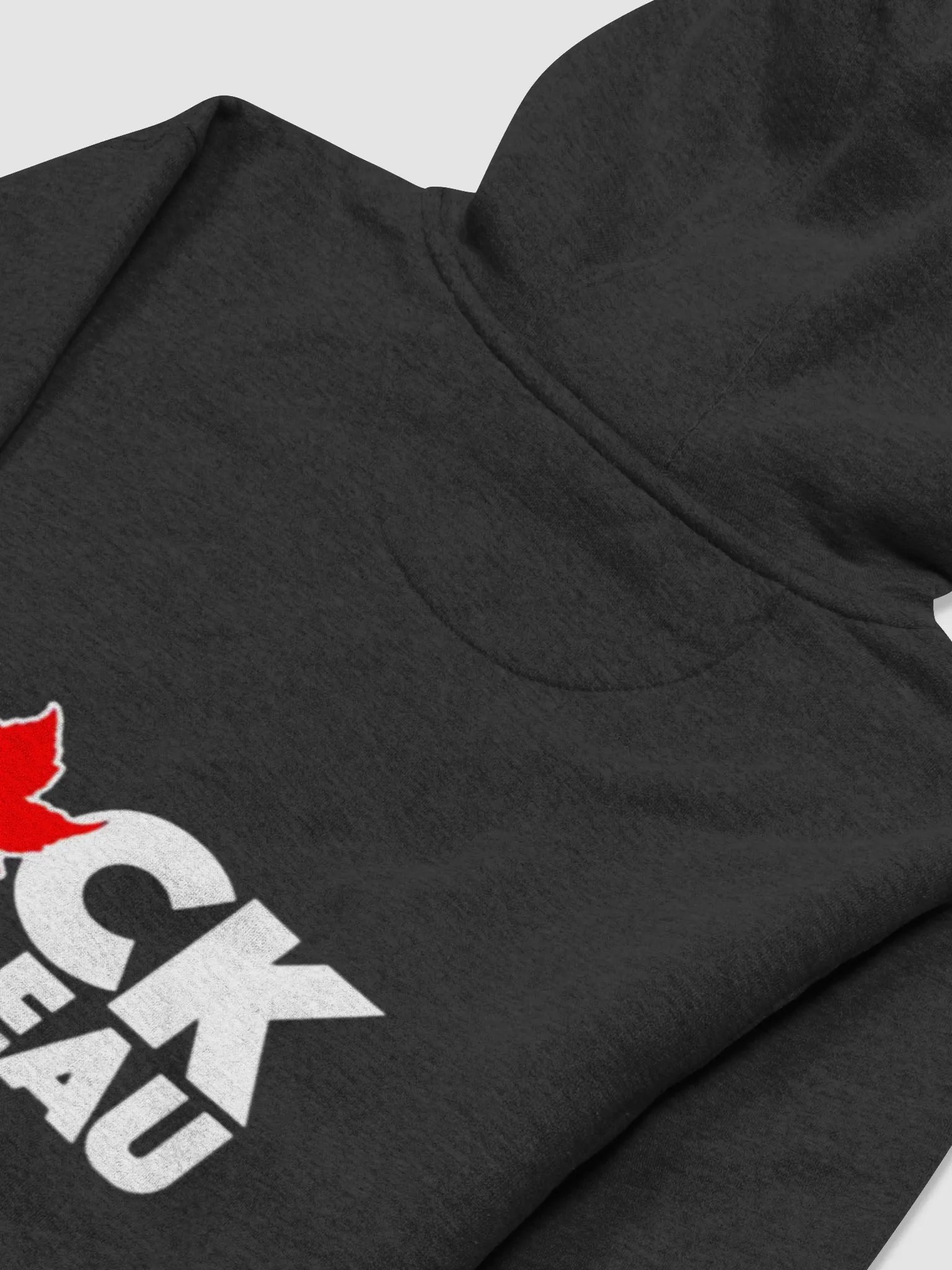 Trudeau Back-Side Hoodie product image (2)