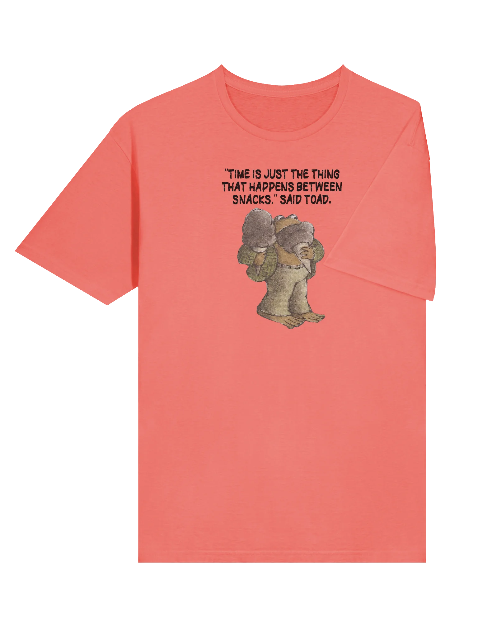 Frog and Toad Ice Cream T-Shirt product image (8)