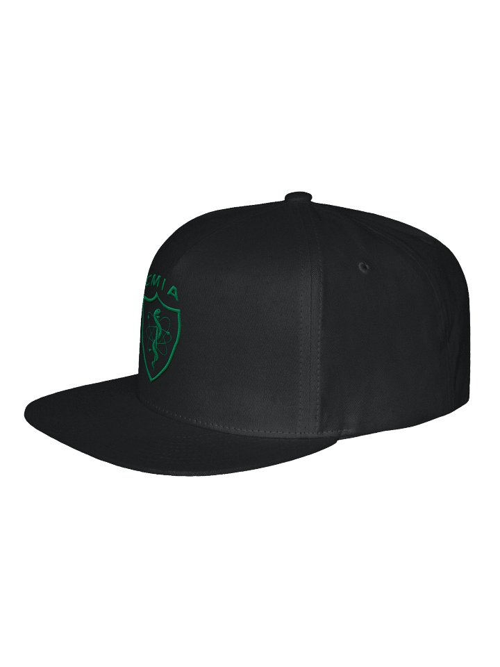 CMIA Snapback Hat — Green Logo product image (26)