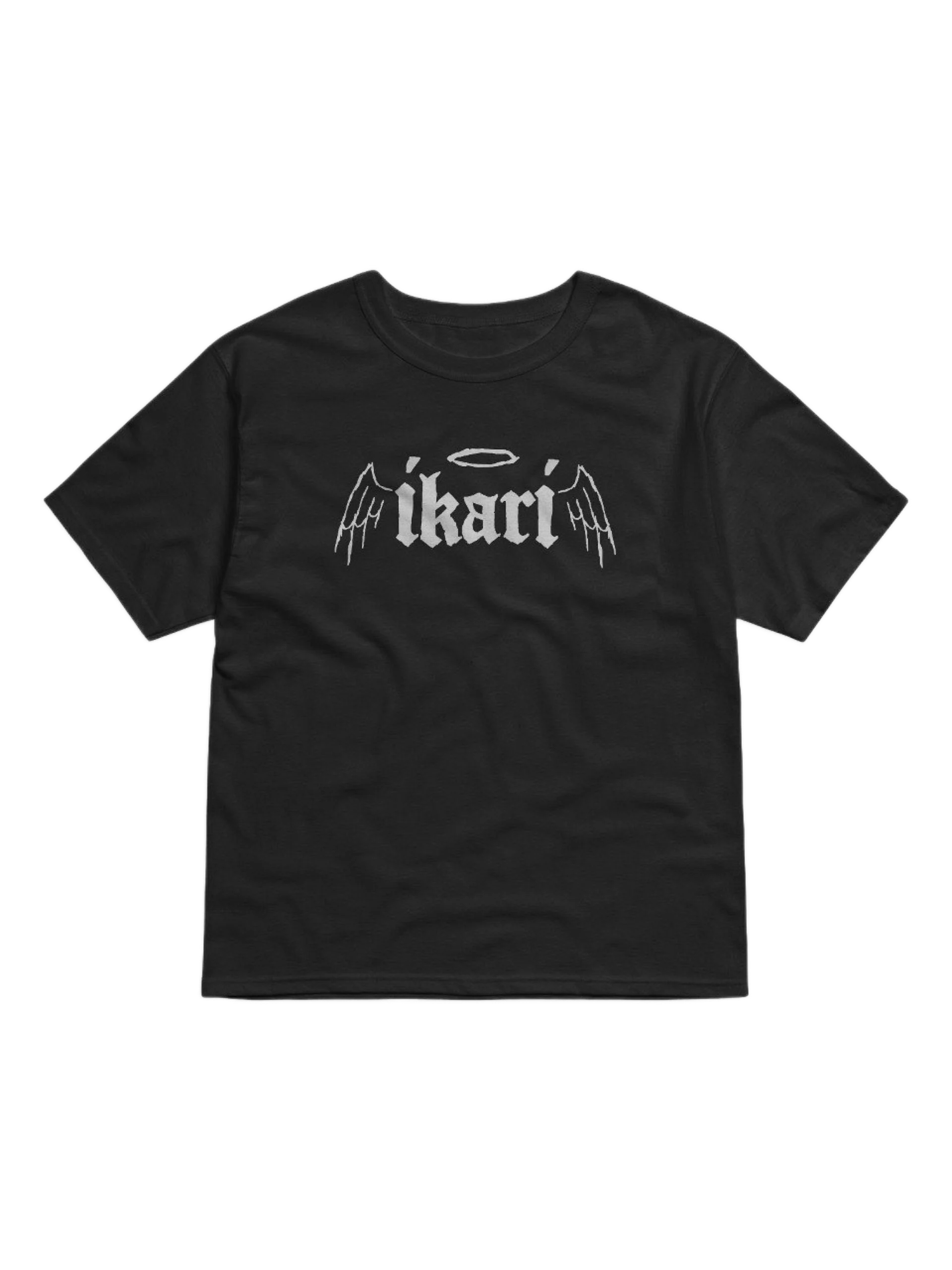 Wings Logo T-Shirt product image (1)