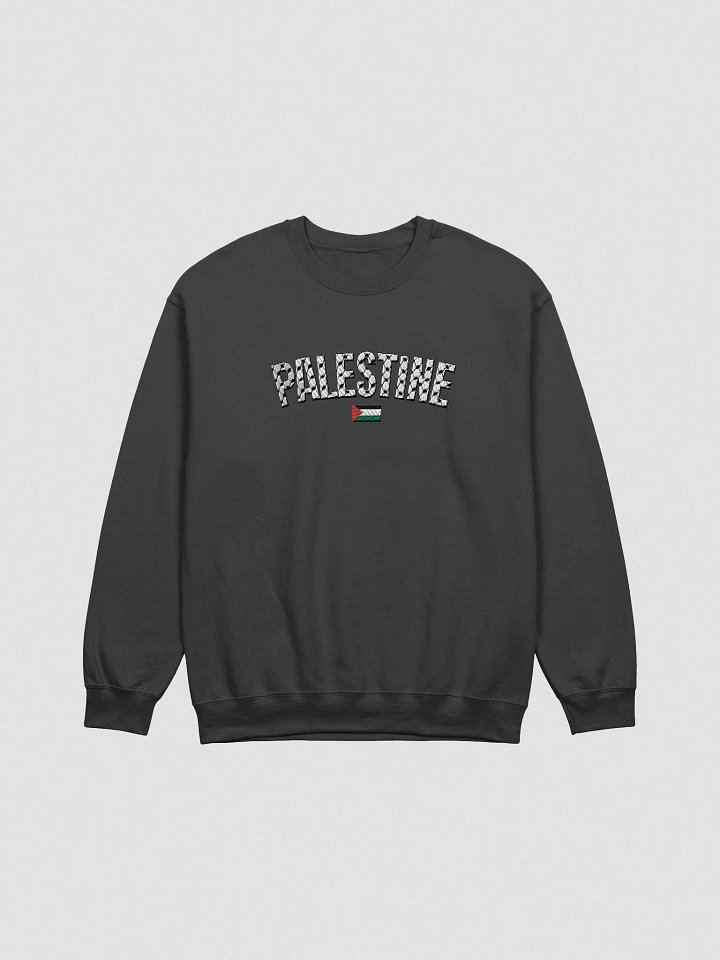 Palestine Sweater- Embroidered product image (1)