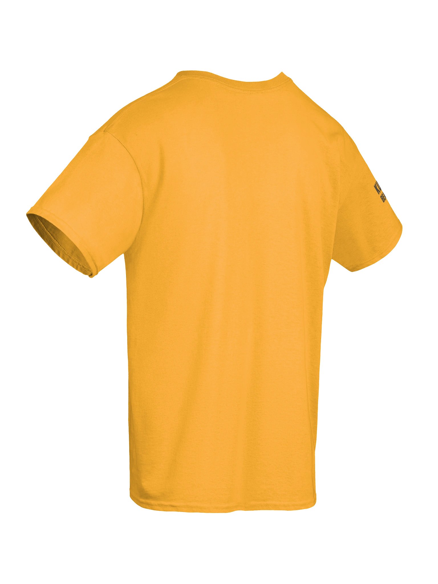 Beargguy T-Shirt product image (38)