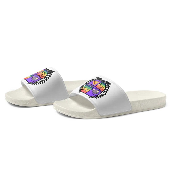 Broversity Women's Slides product image (2)
