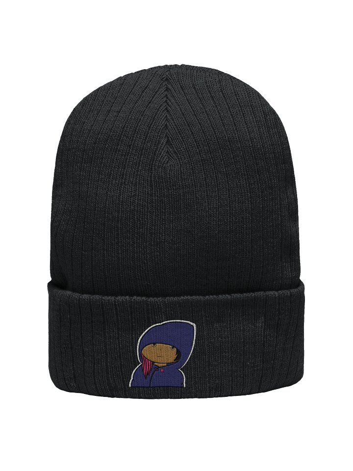 Gagavalkyrie (not a) Cult Beanie w/ border product image (3)