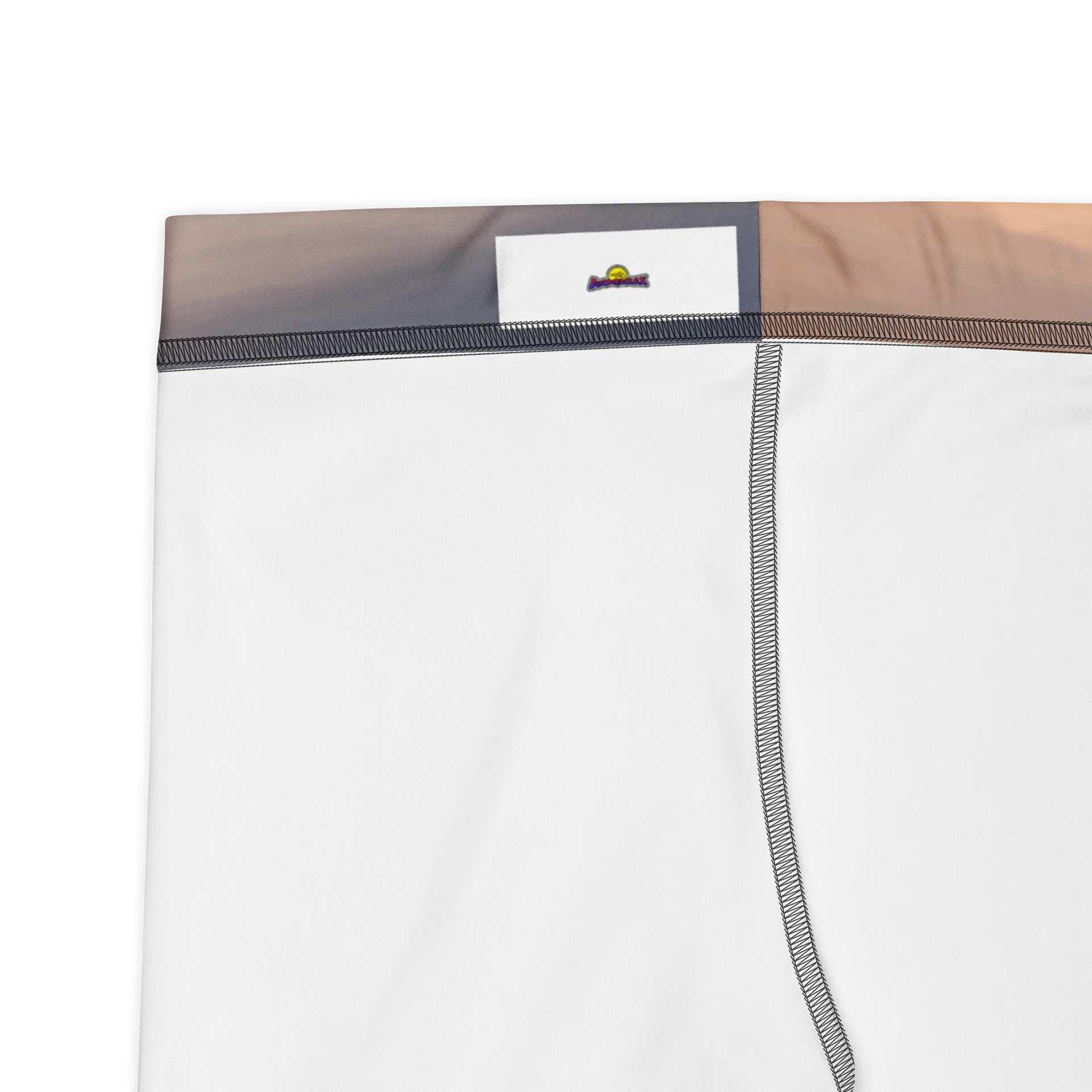 Mount Fuji Graphic Bike Shorts | Stretchy Activewear product image (3)
