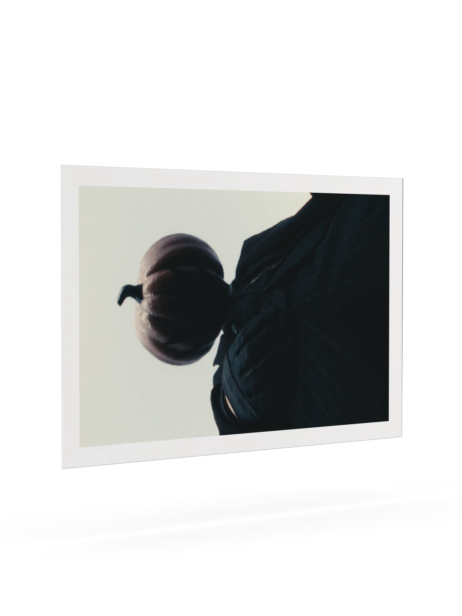 THE PUMPKING product image (13)
