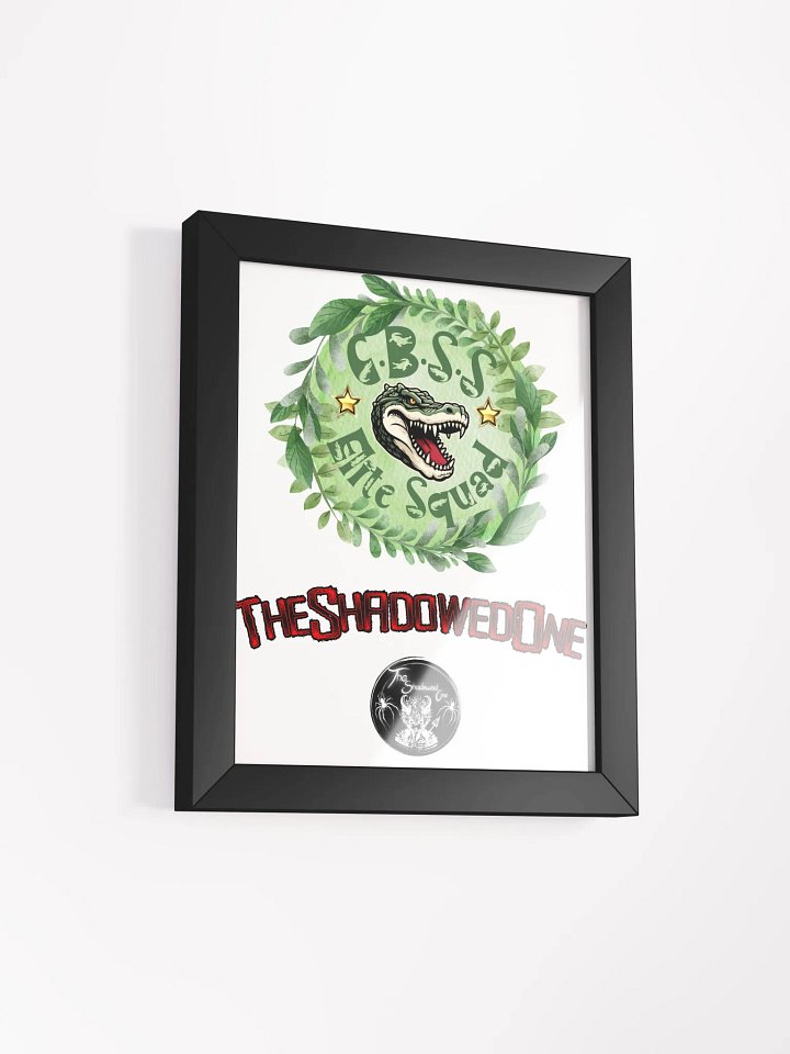 CBSS product image (12)