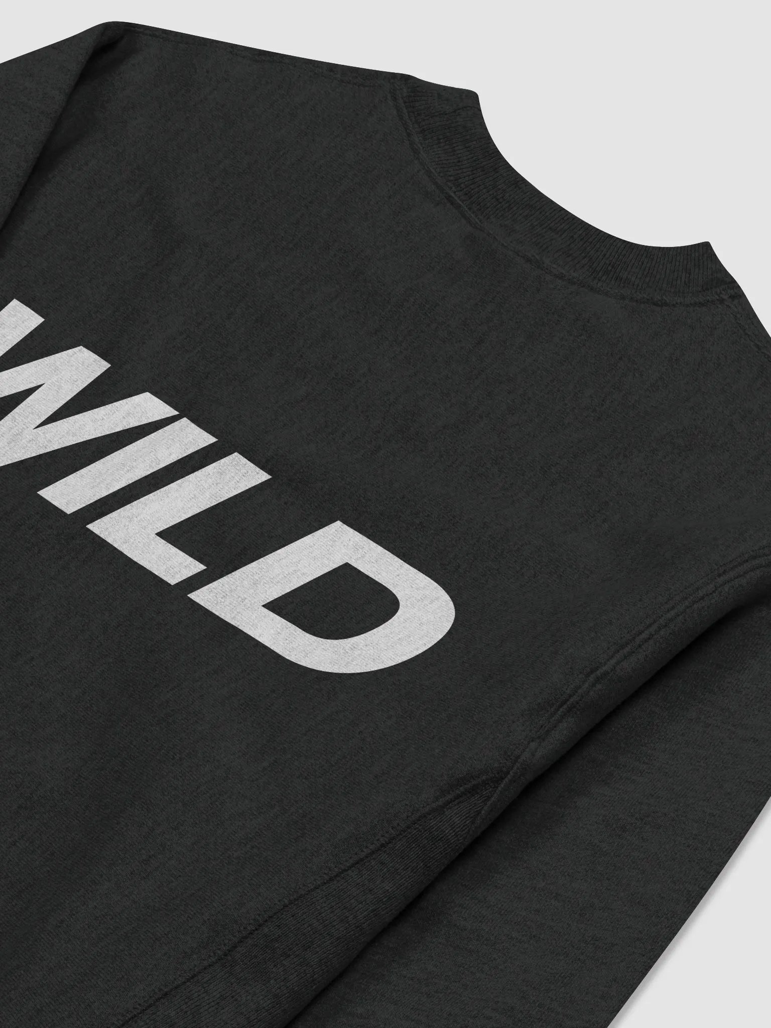 WILD ONES X Champion Crew Sweatshirt product image (3)