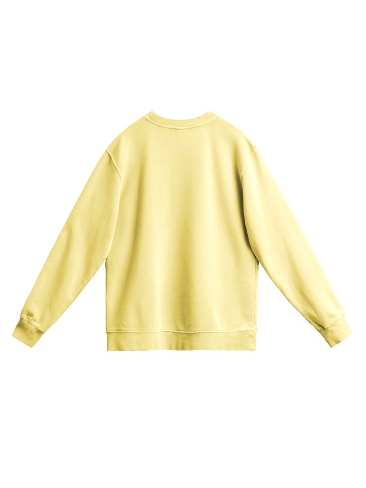Vintage East Point Flag Sweatshirt product image (2)