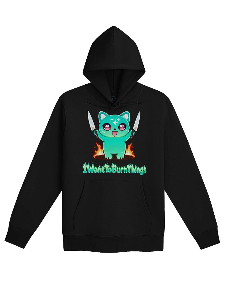 I Burn things Hoodie product image (1)