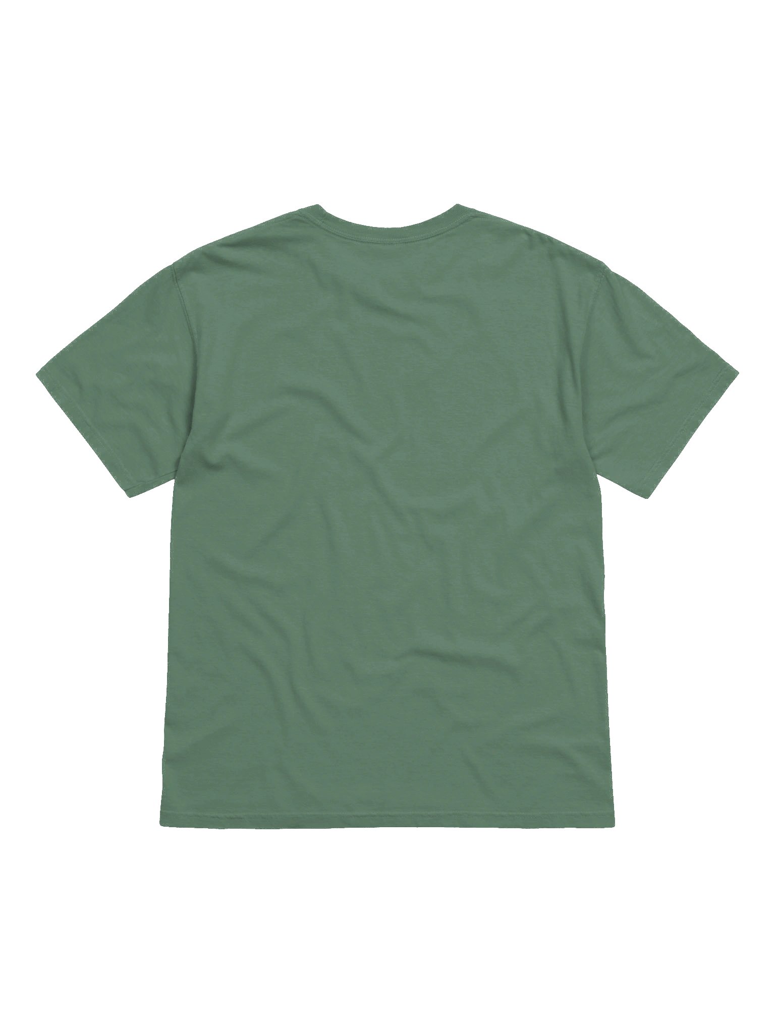 GEORGIA PEACH STATE FLAG product image (42)