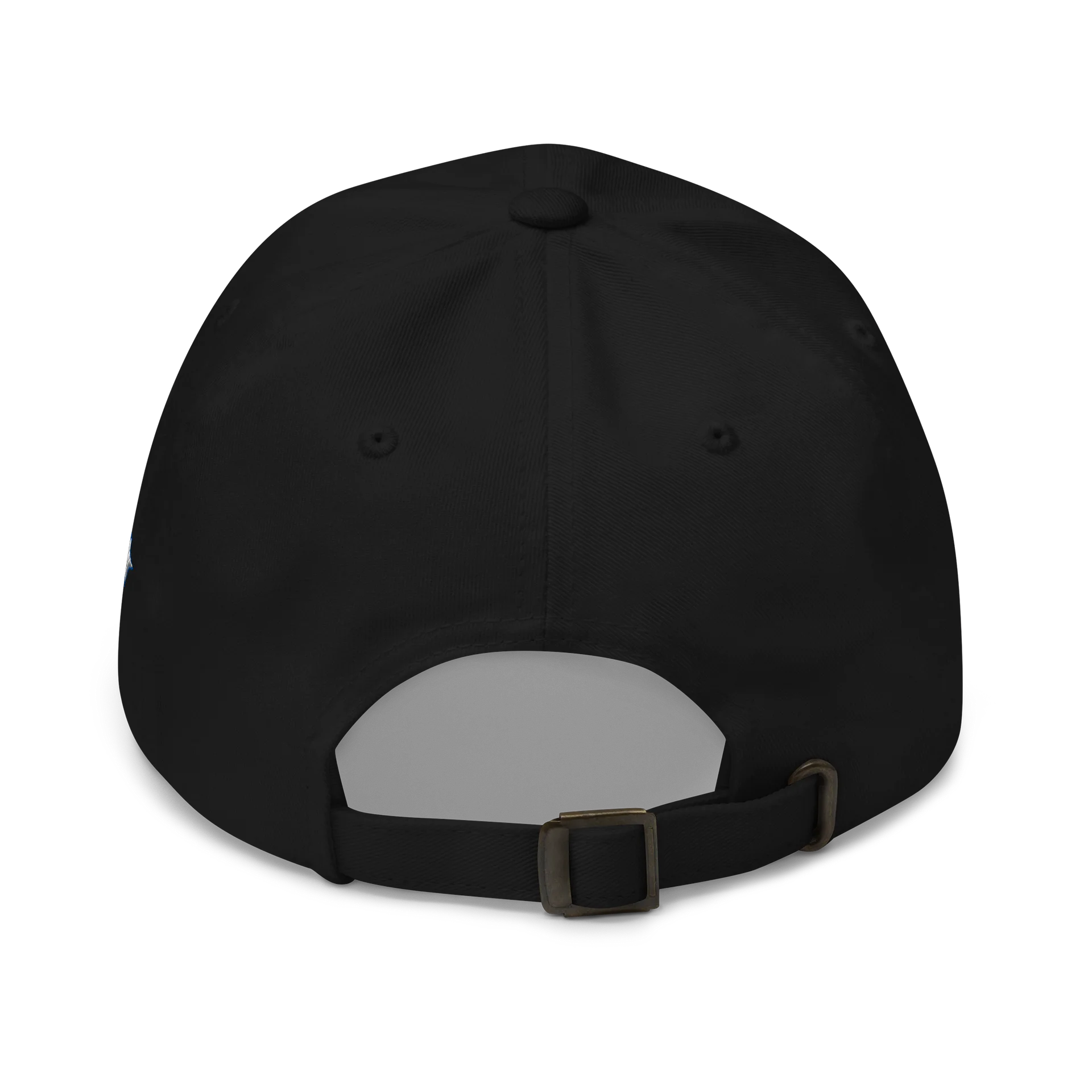 2P Community Dad Hat product image (5)