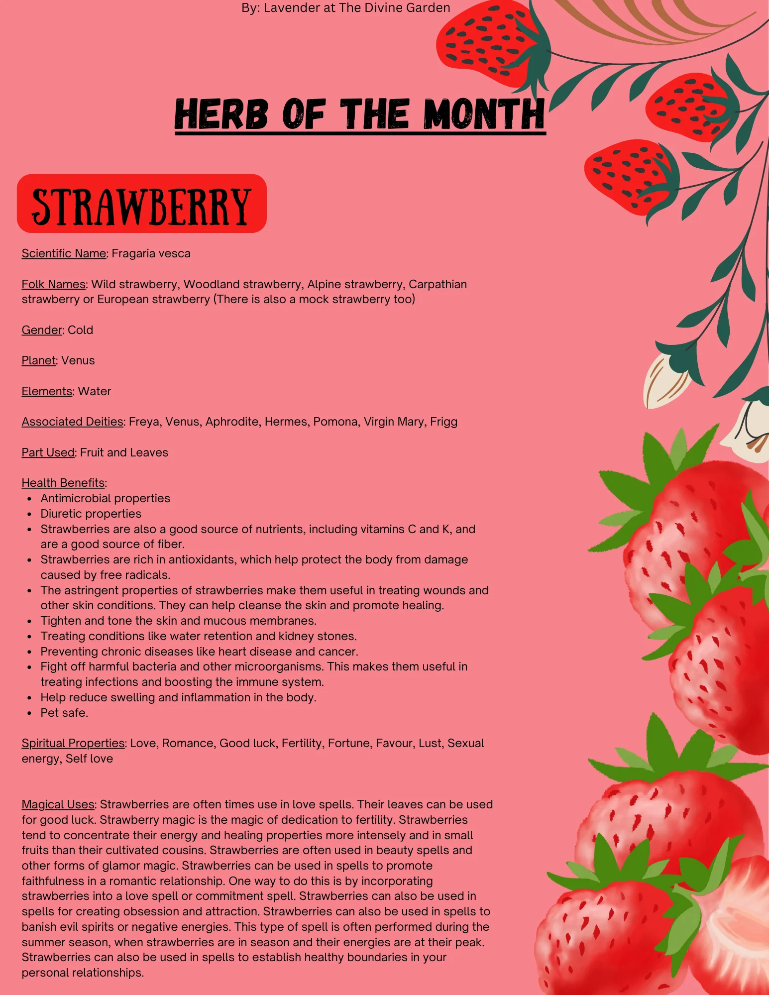 Strawberry product image (1)