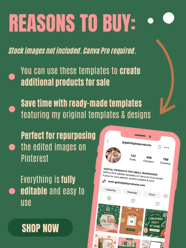 Coquette Christmas Instagram Story Templates product image (8)