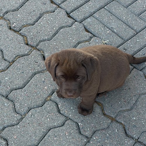 New family member. :3