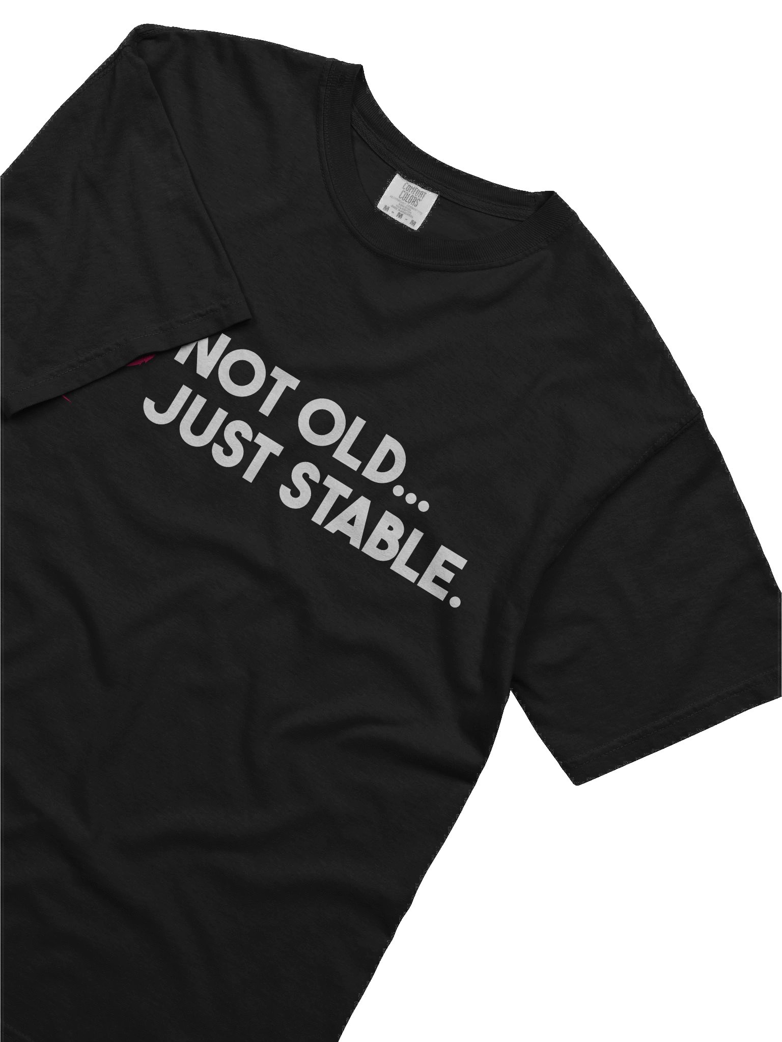 Debian Stable T-Shirt product image (34)