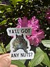 Got Nuts? Sticker
