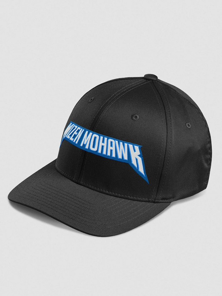 Fitted Hat (Black) product image (2)