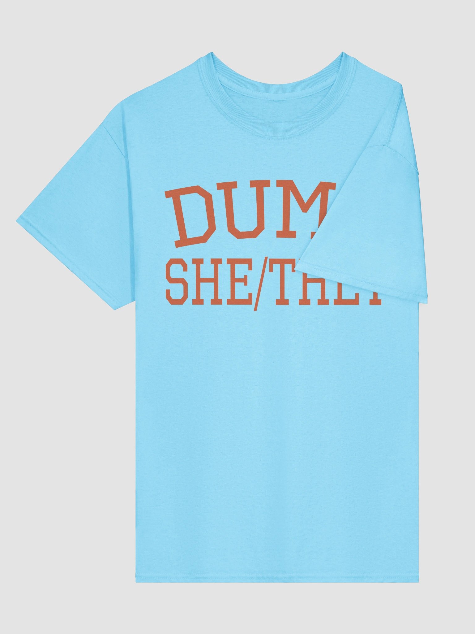 DUMP SHE/THEY TOP product image (4)