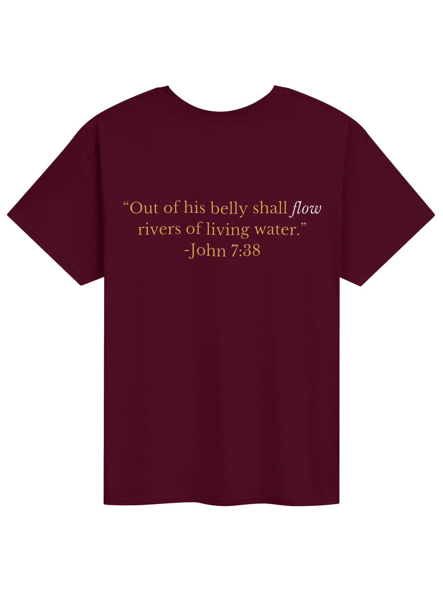 FLOW Worship (verse) tee product image (2)