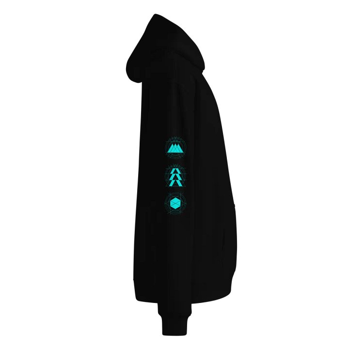 Raven Division Hoodie product image (2)