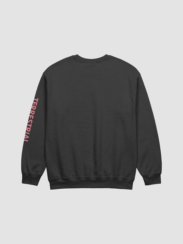 LIMITED EDITION - Grow Positivity Crewneck product image (13)