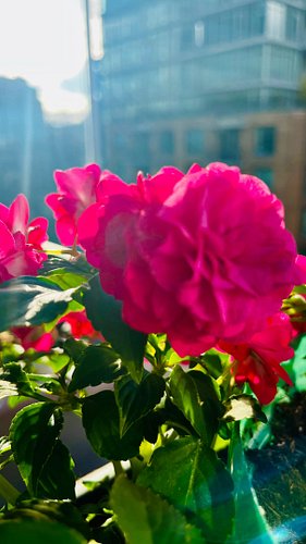 A year and a half ago, my husband and I decided to try for a second child—and in the time since, we’ve endured five miscarria...