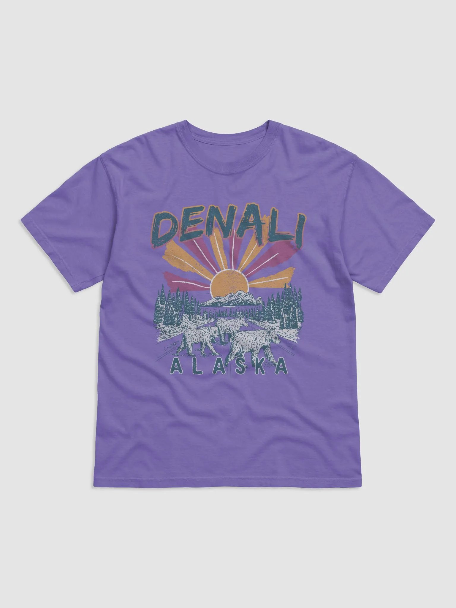 Denali National Park, Alaska Tee | Retro-Style Western T-Shirt for Travel and Road Trips product image (46)