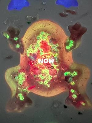 New things are coming!! Check out my website!! GaouetteStylesAndDesign.com #handmade #resin @LET'S RESIN #frog #glowing 
